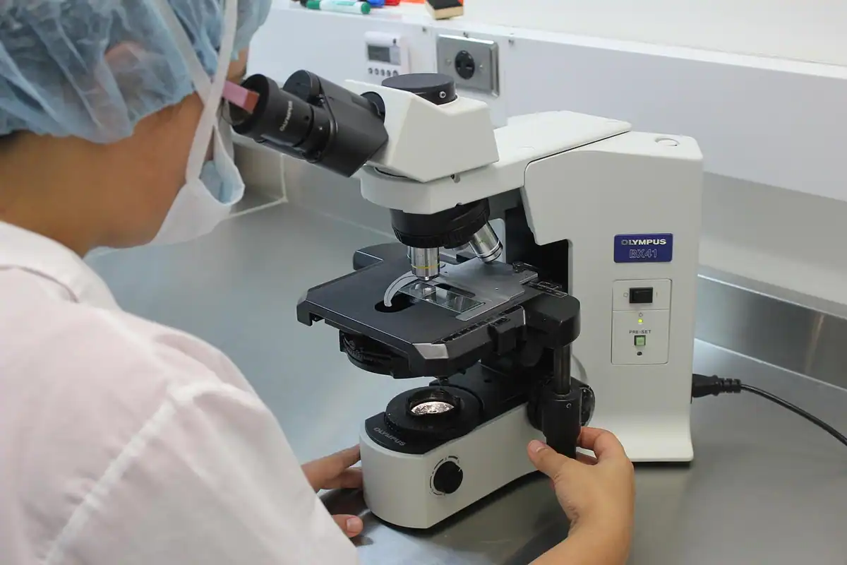 Specialistă cu bonetă care examinează o probă la microscop în laborator